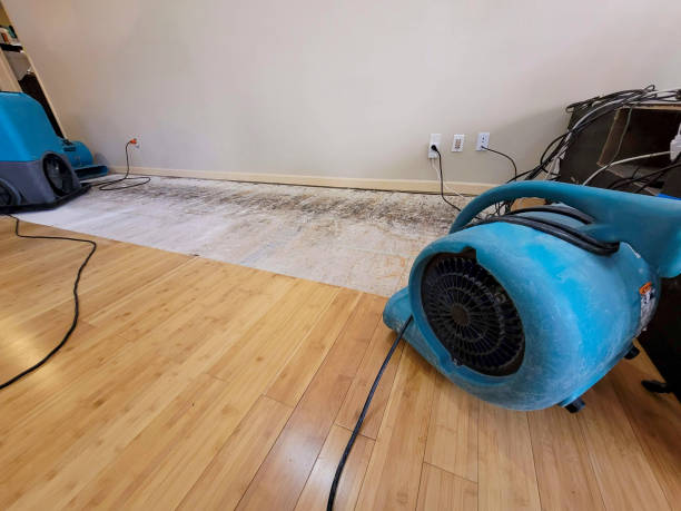 Professional Ceiling Water Damage Repair technician working in Plano, IL